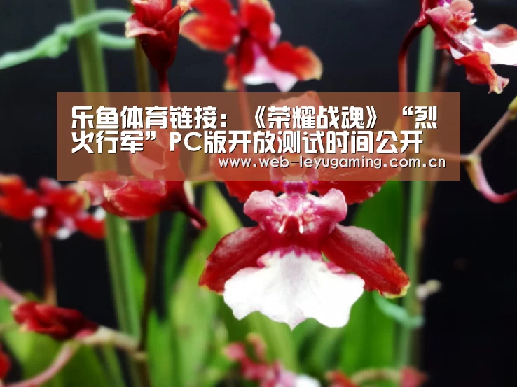 乐鱼体育链接:《荣耀战魂》“烈火行军”PC版开放测试时间公开(图2) 乐鱼体育链接