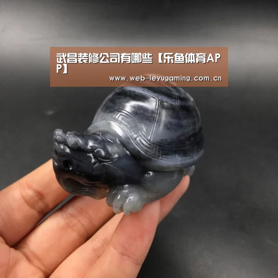 武昌装修公司有哪些【乐鱼体育APP】(图2) 乐鱼体育链接
