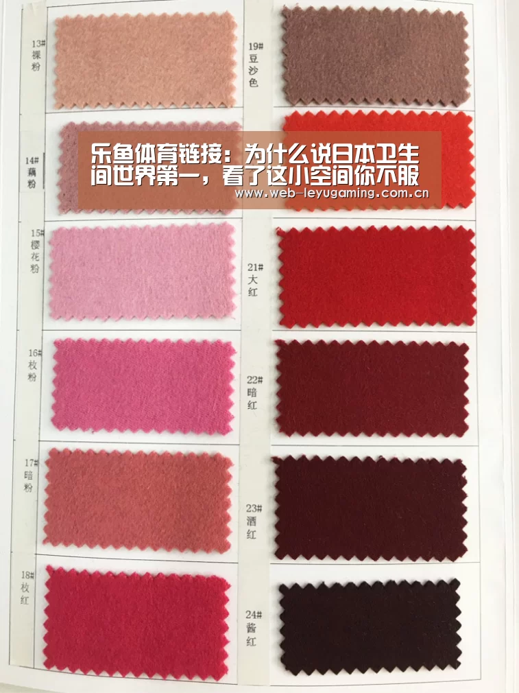 乐鱼体育APP