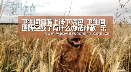 卫生间墙砖上浅下深色 卫生间墙砖空鼓了有什么办法补救-乐鱼体育链接(图2) 乐鱼体育APP