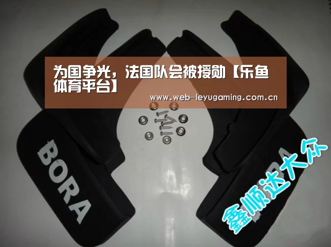 乐鱼体育APP