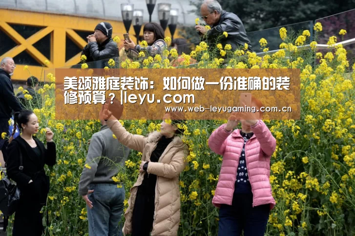 美颂雅庭装饰:如何做一份准确的装修预算?|leyu.com(图3) 乐鱼体育链接
