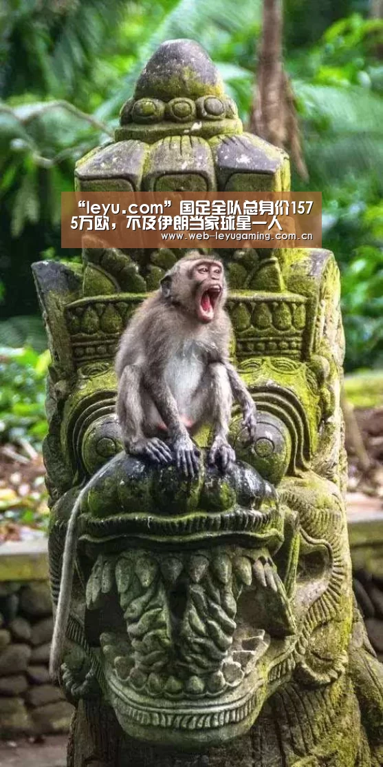 “leyu.com”国足全队总身价1575万欧,不及伊朗当家球星一人(图2) 乐鱼体育平台