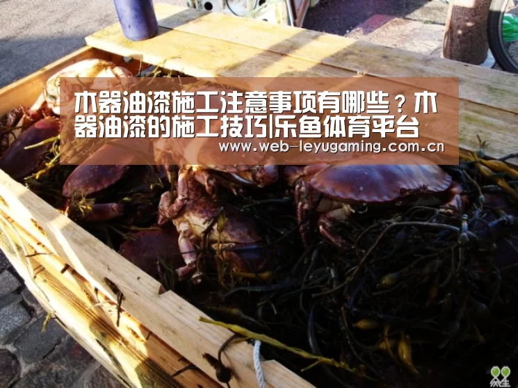 木器油漆施工注意事项有哪些?木器油漆的施工技巧|乐鱼体育平台(图1) 乐鱼体育APP