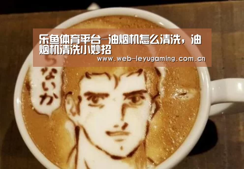 乐鱼体育平台-油烟机怎么清洗,油烟机清洗小妙招(图2) 乐鱼体育APP