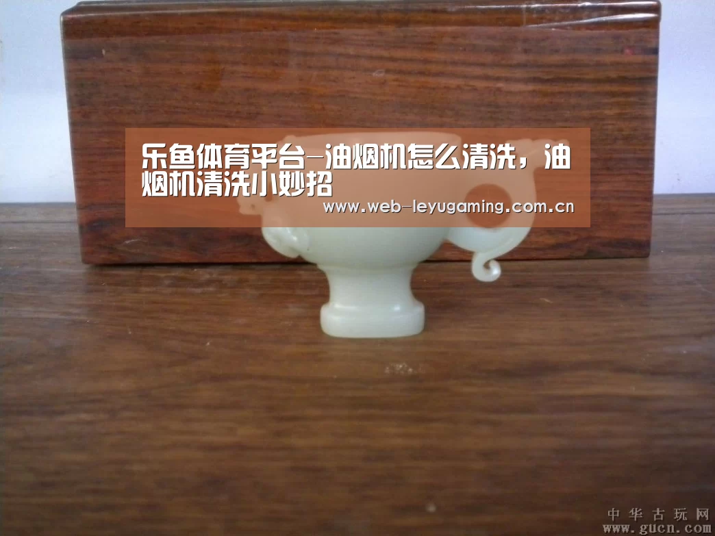 乐鱼体育平台-油烟机怎么清洗,油烟机清洗小妙招(图4) 乐鱼体育平台