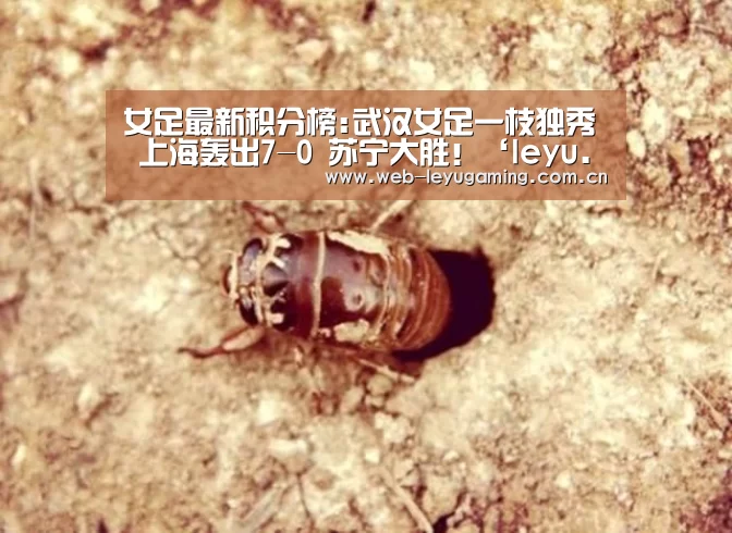 女足最新积分榜:武汉女足一枝独秀 上海轰出7-0 苏宁大胜!‘leyu.com’(图4) 乐鱼体育链接
